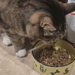 Видео отзыва 10591603