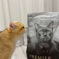 Фото отзыва 11054834