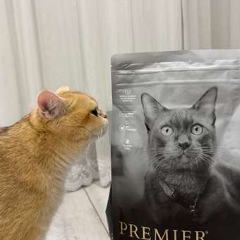 Корм для кошек PREMIER 2кг стерилизованных свежее мясо ягненка с индейкой: отзыв пользователя. Зоомагазин Зоозавр