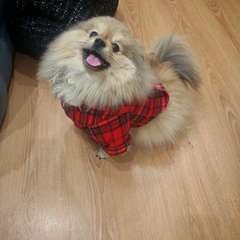 Фото отзыва 10037179