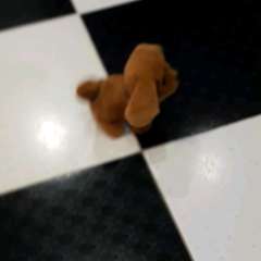 Видео отзыва 10695693