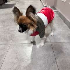 Фото отзыва 10692318