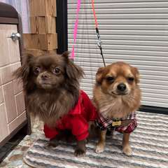 Фото отзыва 10535867