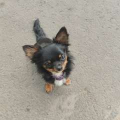 Фото отзыва 10442462