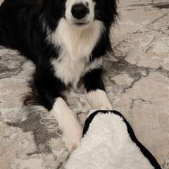 Фото отзыва 10905697