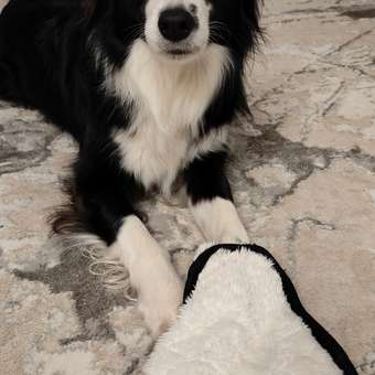 Игрушка для собак Barbaks Барашек Матвей особо прочный с пищалкой 25*22см: отзыв пользователя. Зоомагазин Зоозавр