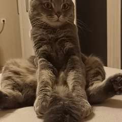 Видео отзыва 10983064