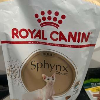 Корм сухой для кошек ROYAL CANIN Sphynx 2кг породы сфинк: отзыв пользователя. Зоомагазин Зоозавр