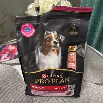 Корм сухой для собак PRO PLAN SENSITIVE SKIN 3 кг с лососем для средних пород: отзыв пользователя. Зоомагазин Зоозавр