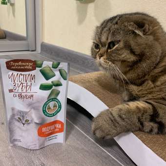 Лакомство для кошек Деревенские лакомства 30г Чистим зубы с кремом из лосося: отзыв пользователя. Зоомагазин Зоозавр