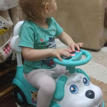 Пушкар Drivetoys: отзыв пользователя Детский Мир