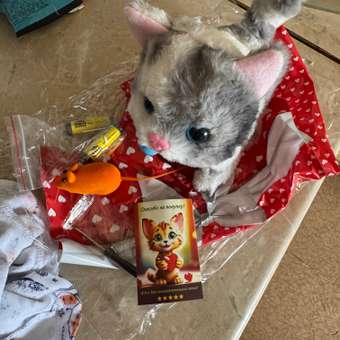 Мягкая игрушка FAVORITSTAR DESIGN котик: отзыв пользователя Детский Мир