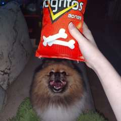 Фото отзыва 10848137