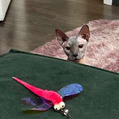 Фото отзыва 10431515