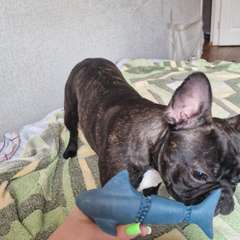 Фото отзыва 9707077