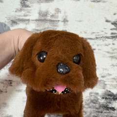 Фото отзыва 10908279