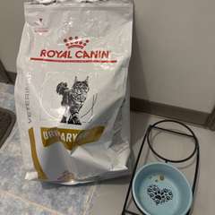 Фото отзыва 10976599