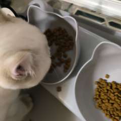 Фото отзыва 10973172