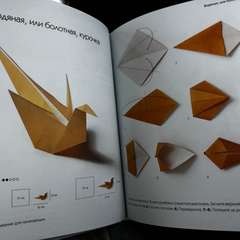 Фото отзыва 11036312