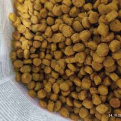 Фото отзыва 10537344