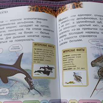 Книга Эксмо Все животные с крупными буквами: отзыв пользователя Детский Мир