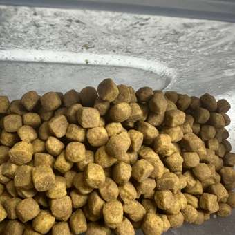 Корм для котят Royal Canin 400г Maine Coon породы мейн-кун: отзыв пользователя. Зоомагазин Зоозавр