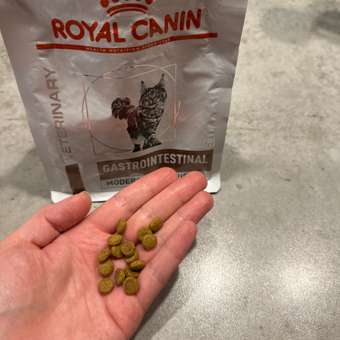 Корм для кошек ROYAL CANIN 350г Gastrointestinal: отзыв пользователя. Зоомагазин Зоозавр