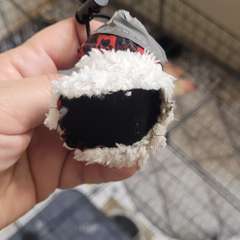 Фото отзыва 10530315