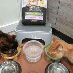 Фото отзыва 10736156