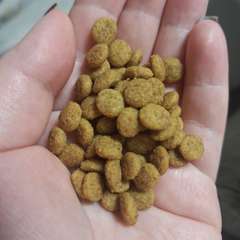 Фото отзыва 10744952