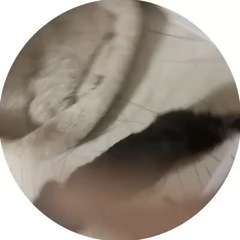 Видео отзыва 11818034