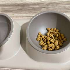 Фото отзыва 10607675