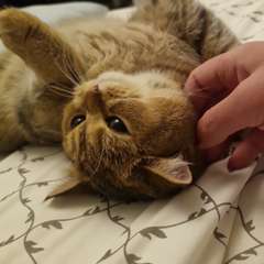 Фото отзыва 10449745