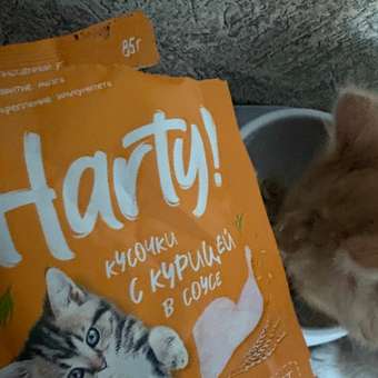Корм для котят Harty 85г кусочки с курицей в соусе: отзыв пользователя. Зоомагазин Зоозавр