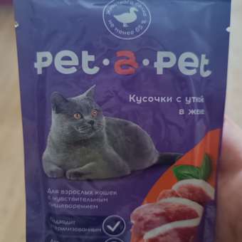 Корм для кошек Pet-a-Pet 85г взрослых для профилактики МКБ Кусочки с уткой в желе пауч: отзыв пользователя. Зоомагазин Зоозавр