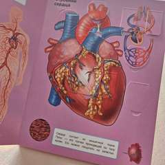 Фото отзыва 10485964