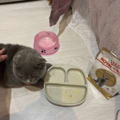 Фото отзыва 10760720