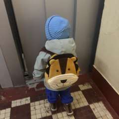 Фото отзыва 10638067