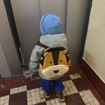 Рюкзак львенок PIFPAF KIDS: отзыв пользователя Детский Мир