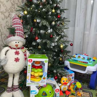 Игрушка BabyGo пирамидка Уточка: отзыв пользователя ДетМир