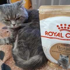 Фото отзыва 10817989