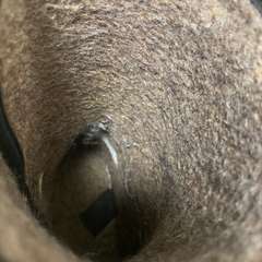 Фото отзыва 10562325