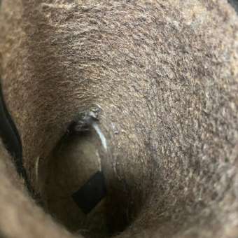 Дутики Nordman: отзыв пользователя Детский Мир