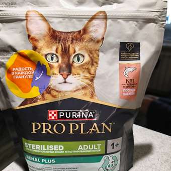 Корм сухой для кошек PRO PLAN RENAL PLUS 400г с лососем для стерилизованных: отзыв пользователя. Зоомагазин Зоозавр