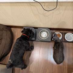 Фото отзыва 11354793