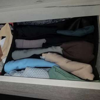 Короб для хранения ё 6 секций Листья 30*30*10см: отзыв пользователя магазина низких цен ЕЩЁ