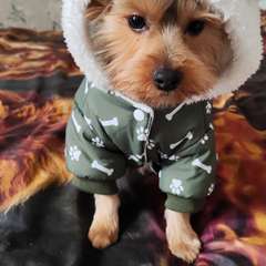 Фото отзыва 10550525