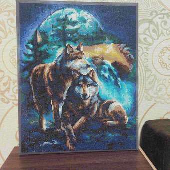 Алмазная мозаика Art on Canvas Лунная ночь в ассортименте: отзыв пользователя Детский Мир