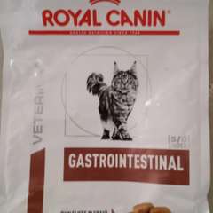 Фото отзыва 10463919