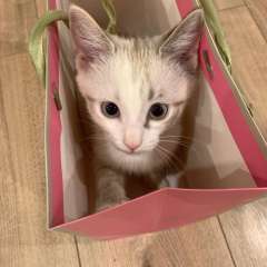 Фото отзыва 10964688